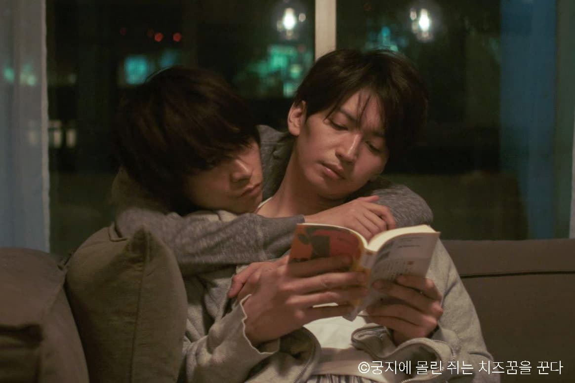 궁지에 몰린 쥐는 치즈꿈을 꾼다, bl 드라마, 재회물, 이별, bl 장르, 비엘 추천