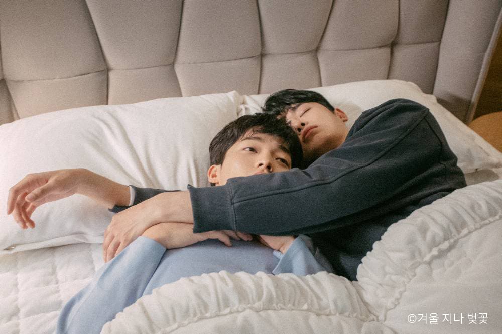 겨울 지나 벚꽃, 러브 메이트, BL 드라마 추천, 얼굴합, 비엘 추천, 벨드